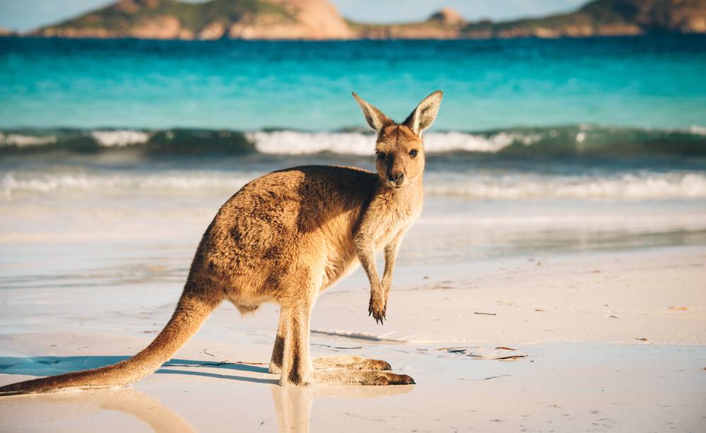 Tourism Australia